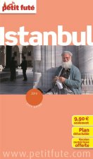 istanbul 2014 petit fute + plan