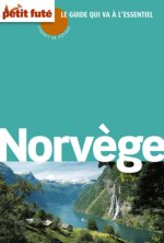 norvege carnet de voyage 2012 petit fute