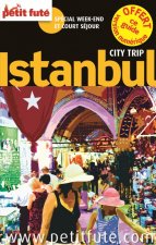 istanbul city trip 2014 petit fute