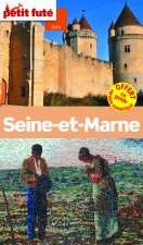 SEINE-ET-MARNE 2014 PETIT FUTE + NUMERIQUE OFFERT