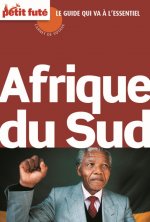 afrique du sud 2014 carnet de voyage petit fute