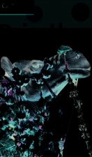 RAJASTHAN 2015-2016 PETIT FUTE