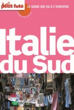 italie du sud 2015 petit fute