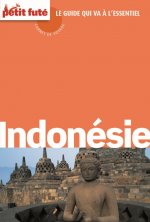 indonesie 2015 carnet petit fute
