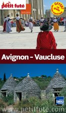 avignon - vaucluse 2015 petit fute+offre numerique