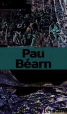 pau bearn 2015 petit fute+offre numerique