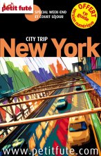 new york 2015 city trip petit fute