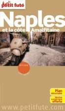 naples 2015 petit fute -plan + offre num