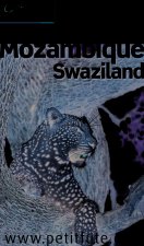 MOZAMBIQUE - SWAZILAND 2015 PETIT FUTE