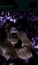 OUGANDA 2016 PETIT FUTE-OFFRE NUMERIQUE