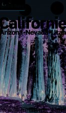 CALIFORNIE - ARIZONA - NEVADA- UTAH 2016 PETIT FUTE-OFFRE NUMERIQUE