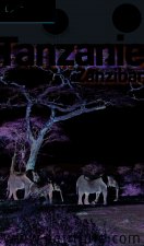 TANZANIE  - ZANZIBAR PETIT FUTE + OFFRE NUMERIQUE