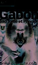 gabon / sao tome et principe 2016