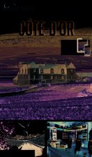 COTE D'OR 2016 PETI FUTE