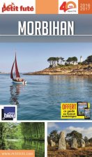 morbihan 2016 petit fute