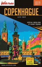 copenhague 2016 city trip petit fute
