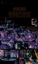 avignon vaucluse 2016 petit fute + offre num