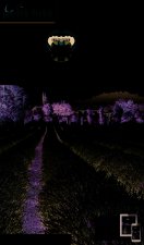 BEST OF PROVENCE 2016-2017 PETIT FUTE + OFFRE NUM