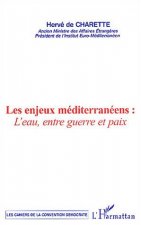 Les enjeux méditerranéens : l'eau , entre guerre et paix