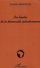 Les limites de la démocratie subsaharienne