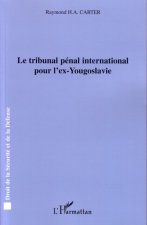 Le tribunal pénal international pour l'ex-Yougoslavie