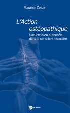 L'ACTION OSTEOPATHIQUE