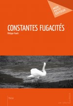 CONSTANTES FUGACITES