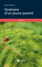 ITINERAIRE D'UN JEUNE PAUME