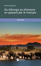 DU KIKONGO AU SHIMAORE EN PASSANT PAR LE FRANCAIS