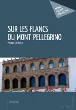 SUR LES FLANCS DU MONT PELLEGRINO