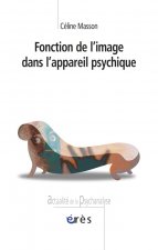 FONCTION DE L'IMAGE DANS L'APPAREIL PSYCHIQUE