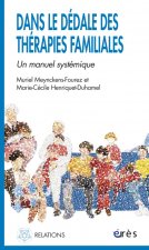 DANS LE DEDALE DES THERAPIES FAMILIALES
