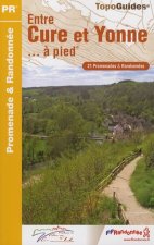 entre cure et yonne a pied ned 2006 - 89 - pr - p892