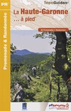 HAUTE GARONNE A PIED 2013 - 31 - PR - D031
