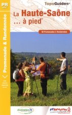 HAUTE SAONE A PIED 2013 - 70 - PR - D070