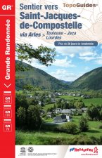 SAINT JACQUES TOULOUSE-JACA 2017-31-32-65-64-ESP-GR-6534