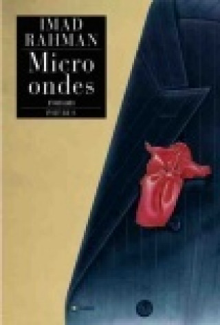 MICRO ONDES