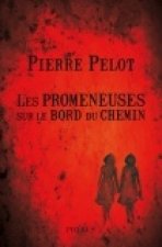 LES PROMENEUSES SUR LE BORD DU CHEMIN