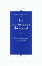 CONSISTANCE DU SOCIAL