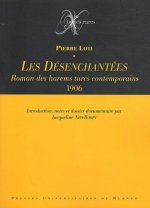 DESENCHANTEES ROMAN DES HAREMS TURCS CONTEMPORAINS