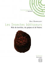 Les insectes bâtisseurs - nids de termites, de guêpes et de frelons