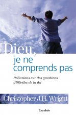 Dieu, je ne comprends pas.