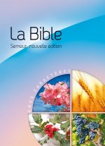 La Bible Version Semeur 2015 avec gros caractères - Couverture rigide bleue et rose illustrée