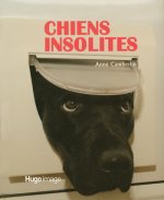 CHIENS INSOLITES
