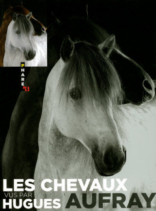 LES CHEVAUX VUS PAR HUGUES AUFRAY