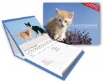 L'Agenda-Calendrier Chats et Chatons 2015