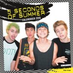 Calendrier mural 5 seconds of Summer 2015