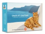 L'Agenda-calendrier Chats et chatons 2021