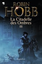 L'assassin royal - La Citadelle des Ombres