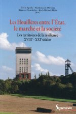 Les Houillères entre l''État, le marché et la société